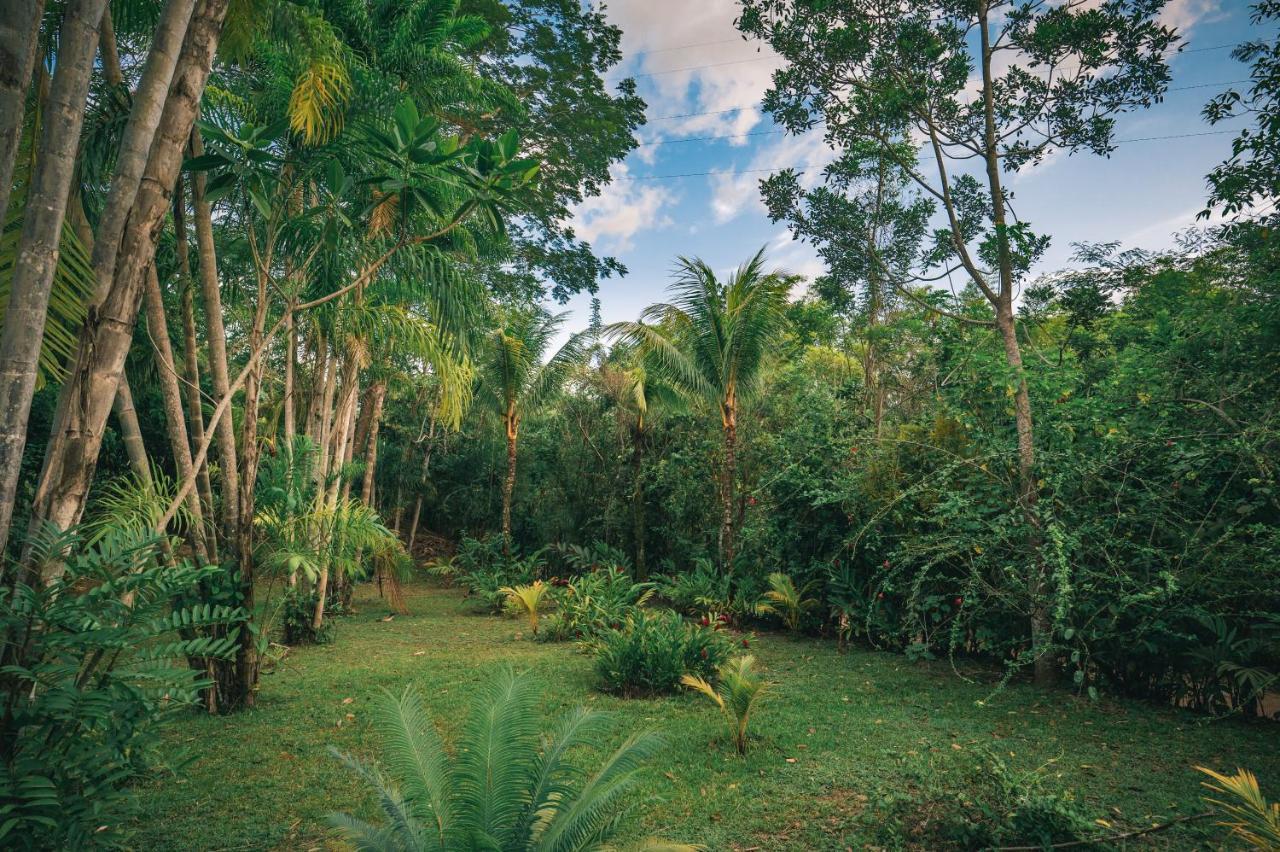 Huingos Eco Lodge Tarapoto Esterno foto