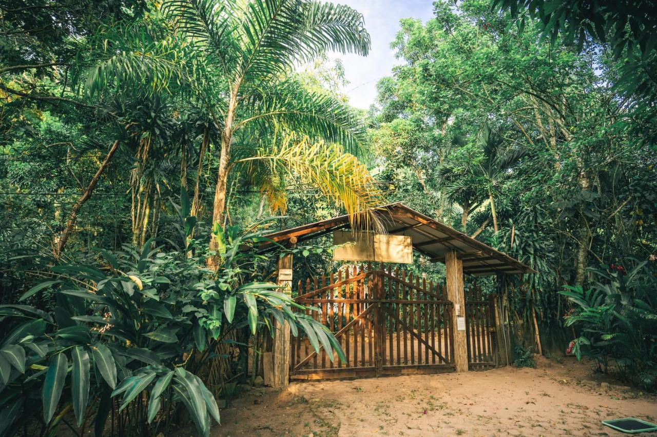 Huingos Eco Lodge Tarapoto Esterno foto
