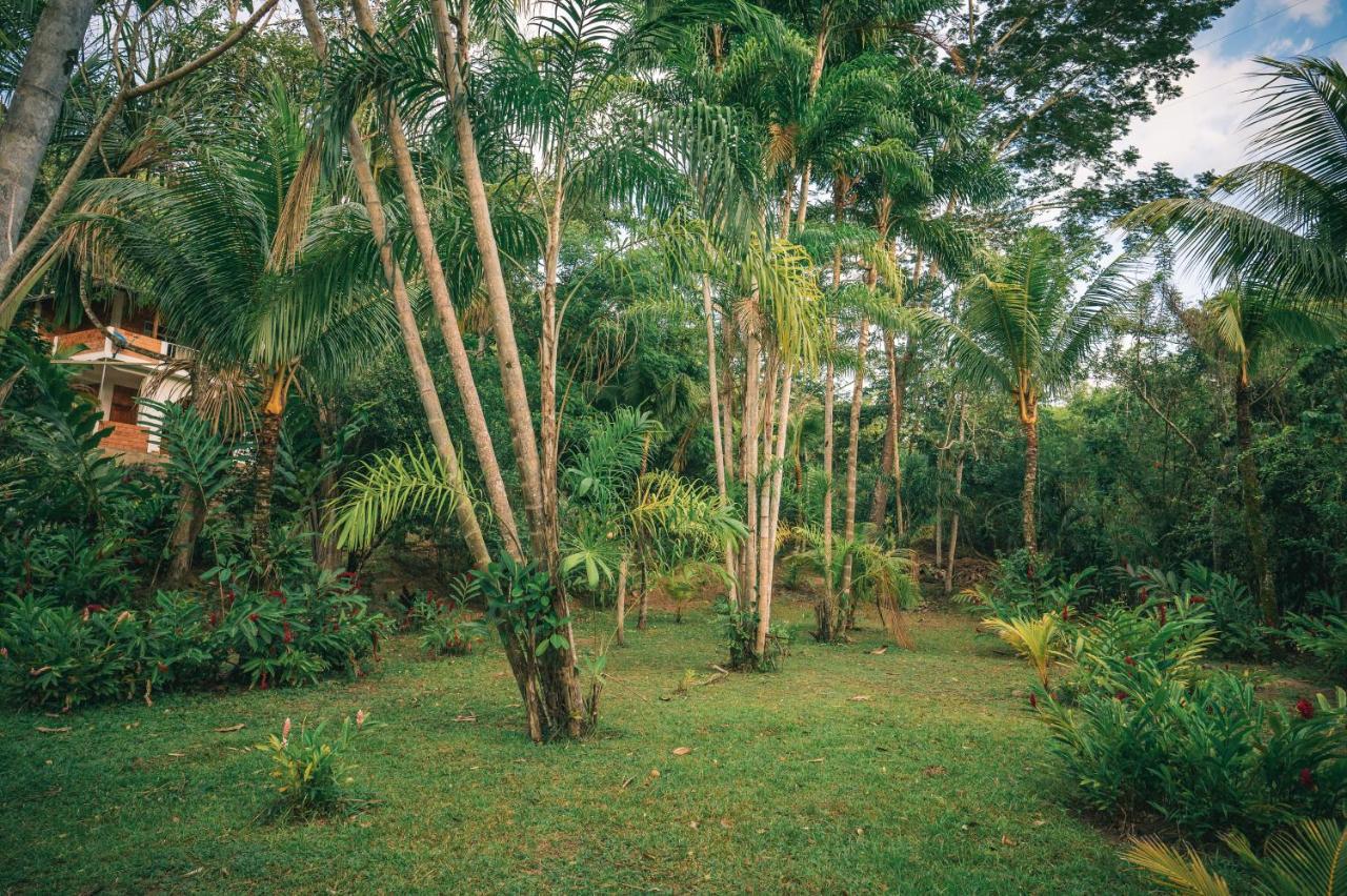 Huingos Eco Lodge Tarapoto Esterno foto