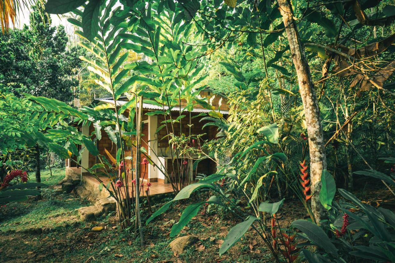 Huingos Eco Lodge Tarapoto Esterno foto