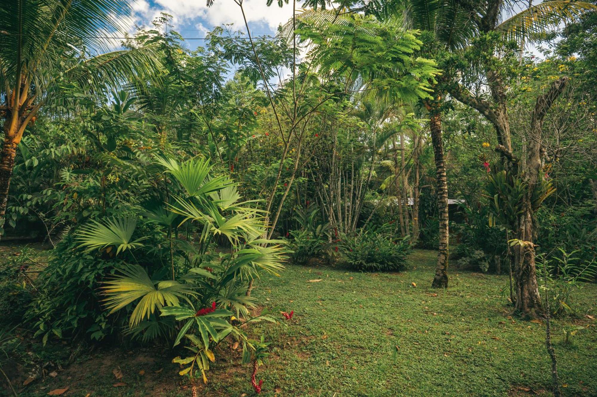 Huingos Eco Lodge Tarapoto Esterno foto
