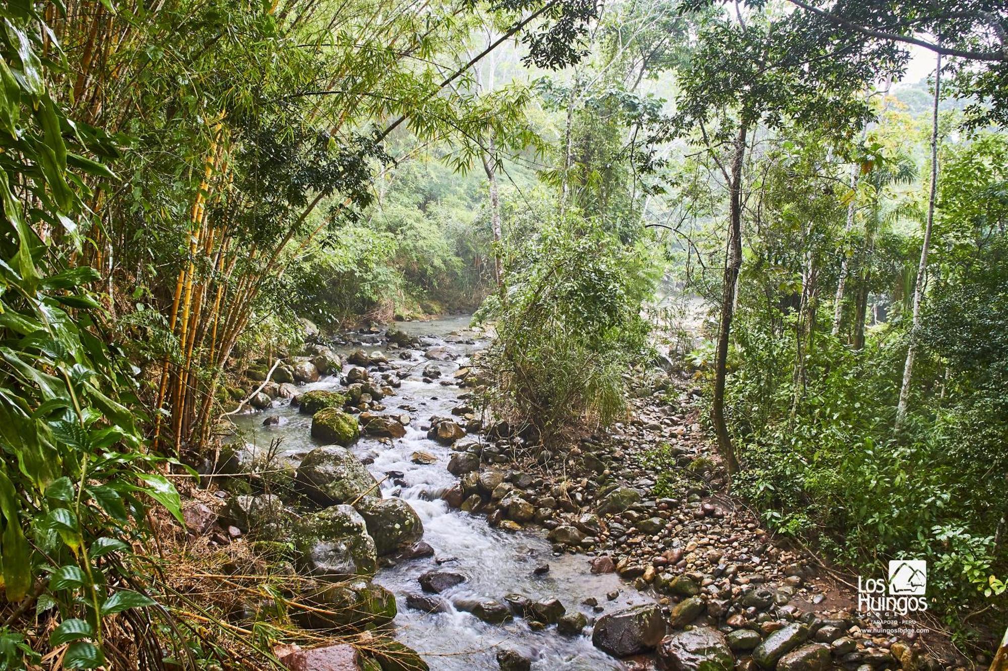 Huingos Eco Lodge Tarapoto Esterno foto