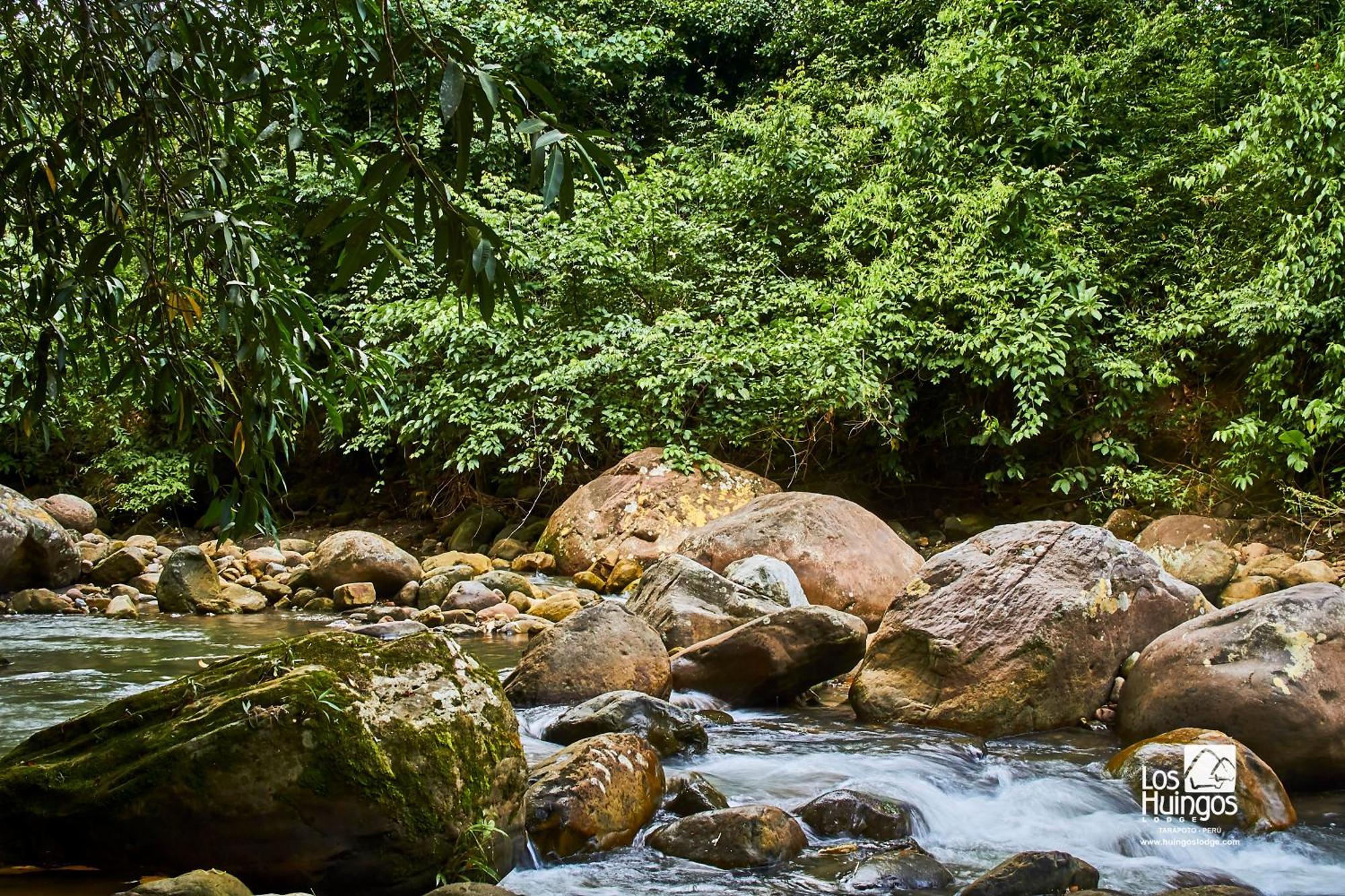 Huingos Eco Lodge Tarapoto Esterno foto